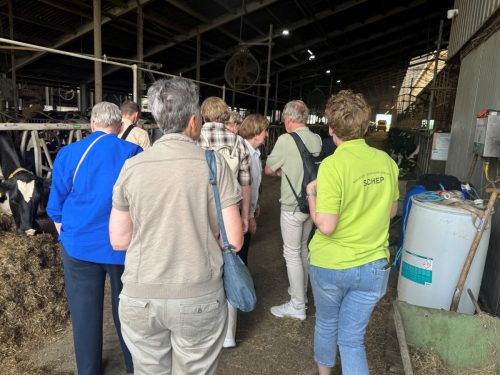 260530 Dagtocht Gouda  01