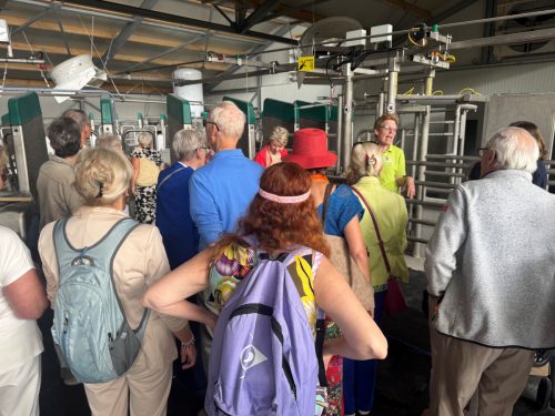 260530 Dagtocht Gouda  08