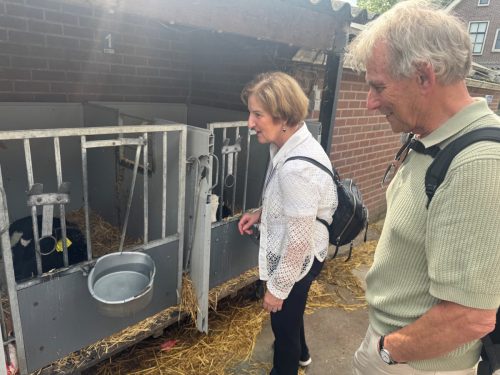 260530 Dagtocht Gouda  09