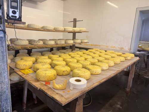 260530 Dagtocht Gouda  12