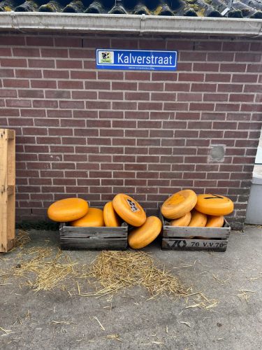 260530 Dagtocht Gouda  IMG 1974