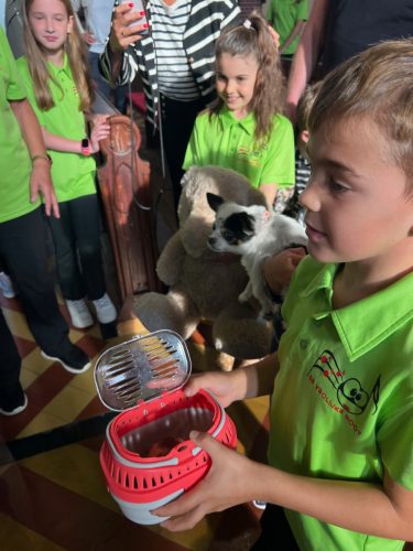 261004 Gezinsviering met dierenzegening