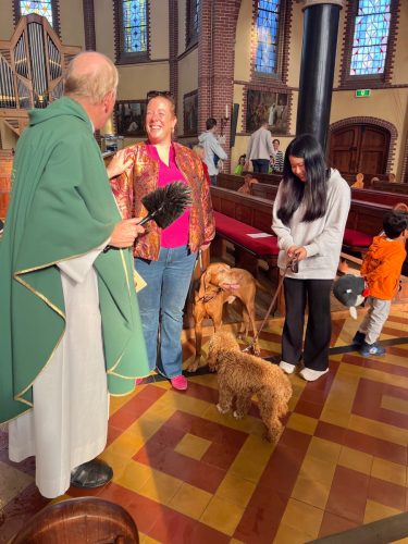 261004 Gezinsviering met dierenzegening